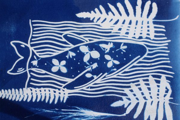 la-grande-illusion-hendaye-3-Baleine-Cyanotype